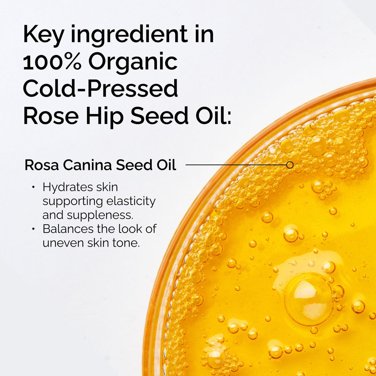 100-organic-cold-pressed-rose-hip-seed-oil-n2 FY25-D41247-ORD-Web-PDP-100-Rose-Hip-Oil-1x1-EN-2.jpg