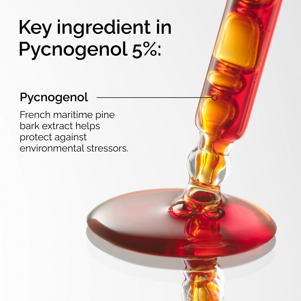 pycnogenol-5-d6 FY25-D41247-ORD-Web-PDP-Pyc-5pct-1x1-EN-2a.jpg