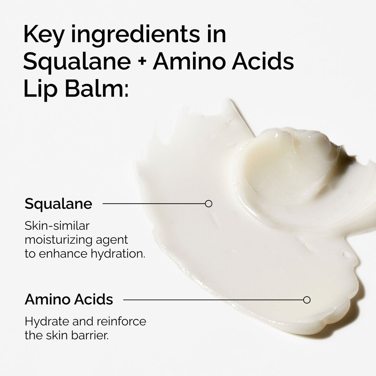 squalane-amino-acids-lip-balm-o3 FY25-D41247-ORD-Web-PDP-Sql-Amino-Lip-1x1-EN-2a.jpg