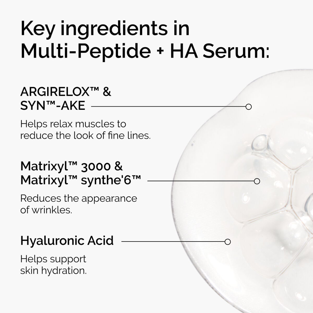 the-age-support-set-b5 ord-multi-peptide-ha-ingredients-graphic.jpg