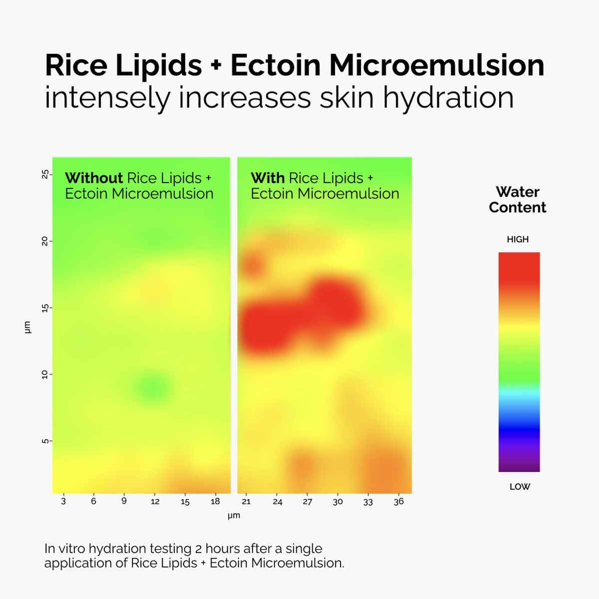 rice-lipids-ectoin-microemulsion-a1 ord-rice-lipids-ectoin-microemulsion-thermal-before-after.jpg